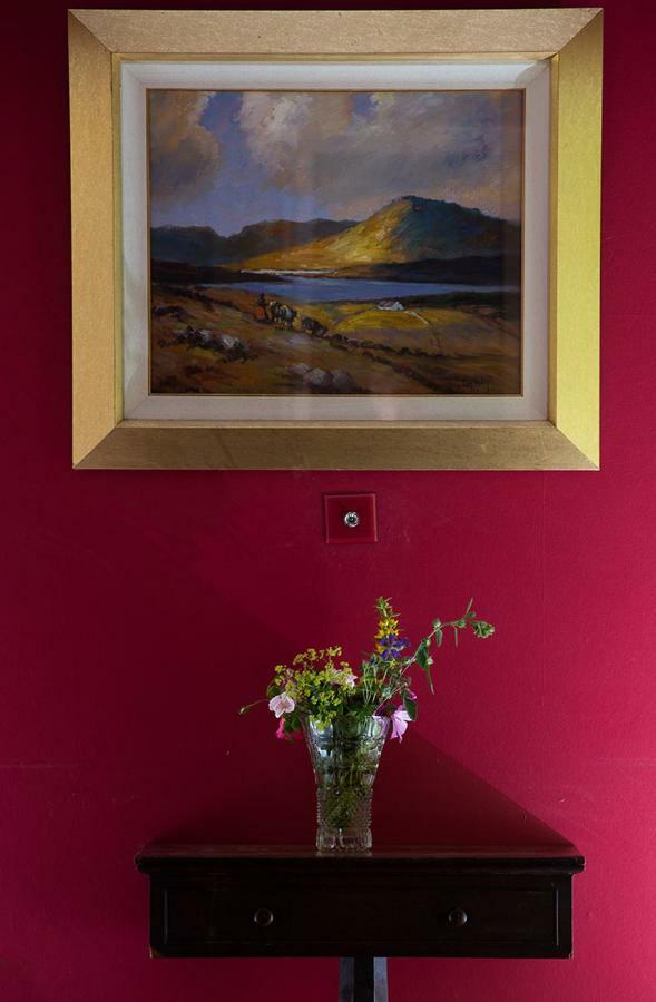 Ross Castle B&B Oldcastle Zewnętrze zdjęcie