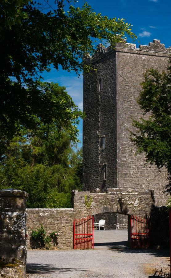 Ross Castle B&B Oldcastle Zewnętrze zdjęcie